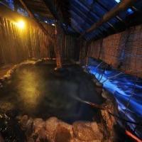 Ryokan Kutsurogijyuku Shintaki 3*